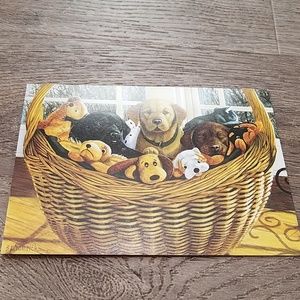 Set of 10 basket full of puppies cards.